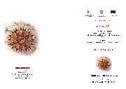 Conoscersi e conoscere per scegliere il futuro - Matera