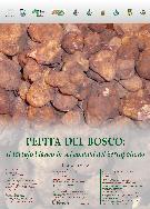 Manifesto della fiera del tartufo - Matera