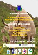 Mostra di animali da reddito e macchine agricole - Matera