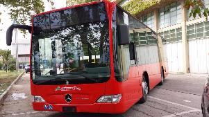 Autobus Miccolis - Matera